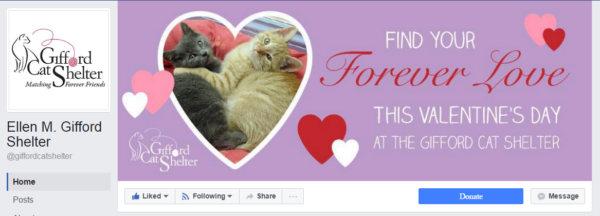 Gifford Cat Shelter Facebook Cover Photo