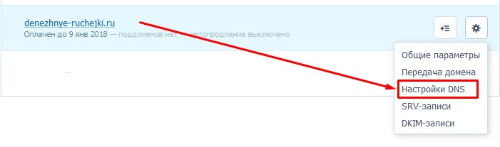 DNS настройки