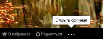 Как сохранить фото из альбома «Яндекс Фотки»