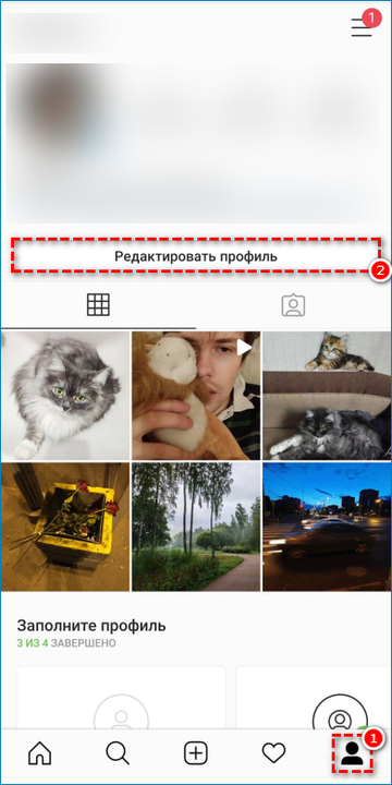 Кнопка Редактировать профиль во вкладке пользователя в приложении Instagram