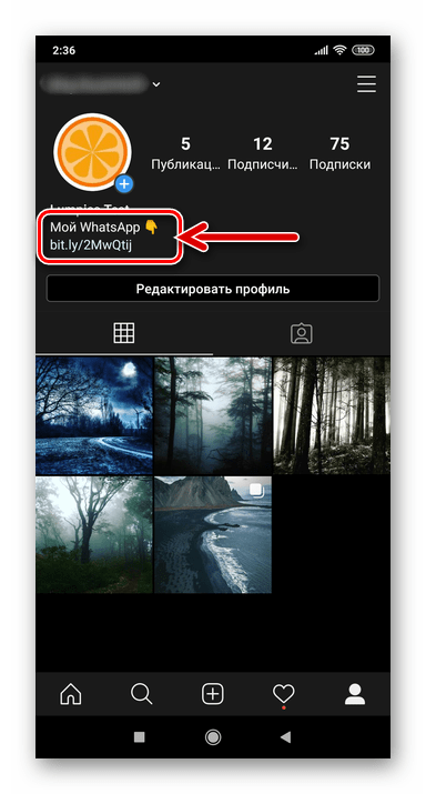 Instagram создание ссылки на WatsApp и ее размещение в профиле соцсети завершены