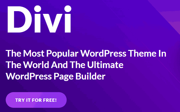 платный шаблон divi wordpress