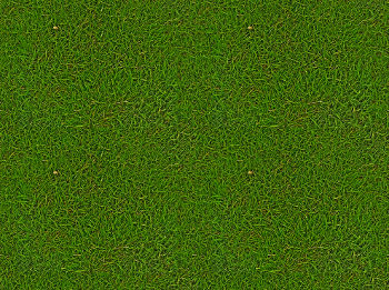 Seamless texture of grass after processing