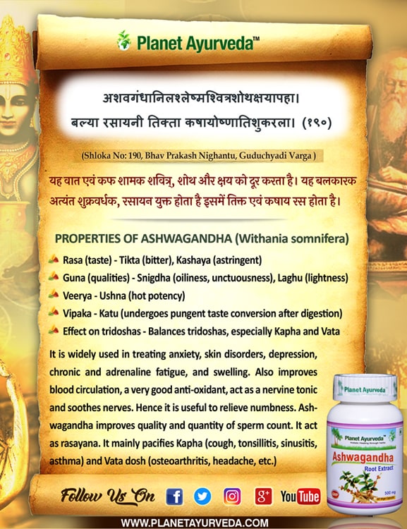 Authentic Ayurveda Information, Classical Reference of Ashwagandha