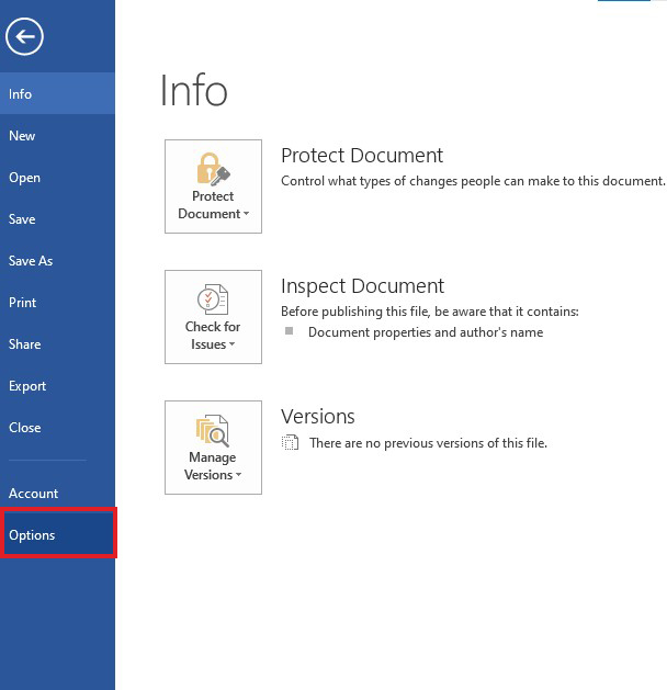 Go to File and navigate to Options in Word Document