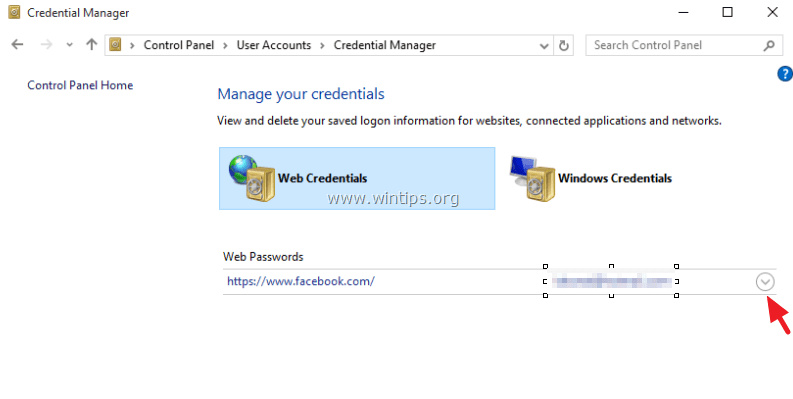 Internet Explorer show password
